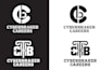 design a professional modern minimalist business logo and brand identity